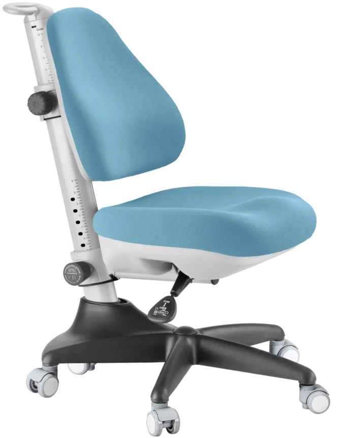 Купить Стул Для Школьника Без Колес