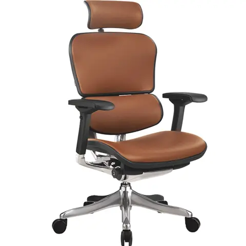 Ergohuman on sale luxury leather