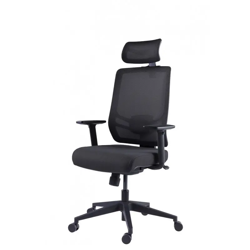 Эргономичное кресло GT Chair InFlex Z