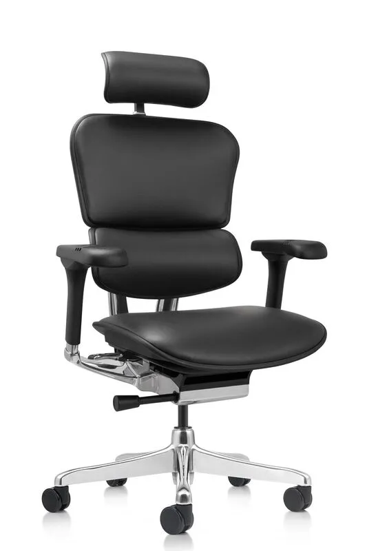 Кресло руководителя Comfort Workspace Ergohuman Elite 2 в кожаной обивке