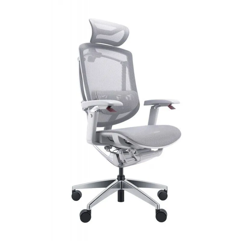 Эргономичное кресло GT Chair Marrit Pro X