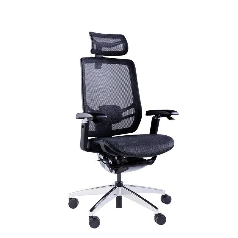 Эргономичное кресло GT Chair InFlex X