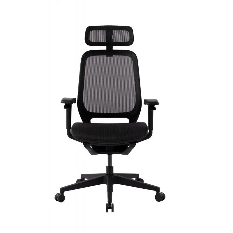 Эргономичное кресло GT Chair NEOSEAT X