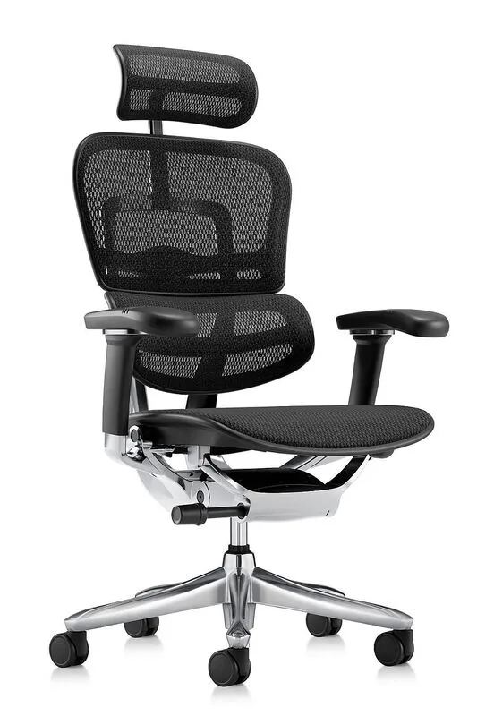 Эргономичное кресло Comfort Workspace Ergohuman 2 SE (Special Edition)
